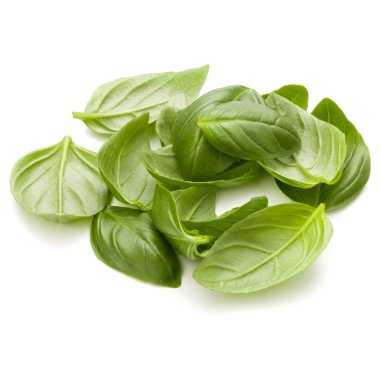 Beyaz arka plan clo üzerinde izole avuç fesleğen bitki yaprakları