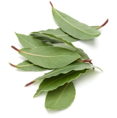 aromatik defne yaprağı 