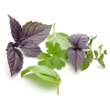 Taze ot beyaz arka plan üzerinde izole çeşitli bırakır. Mor d