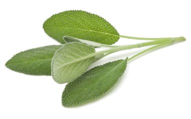 Beyaz arka plan kesme izole buket adaçayı bitki yaprakları. 