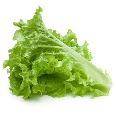 Beyaz arka planda taze yeşil marul salatası yaprakları