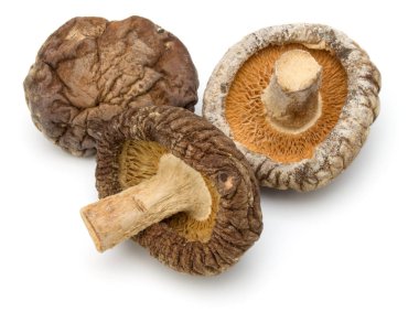 Beyaz arka plan üzerinde izole kurutulmuş shiitake mantar
