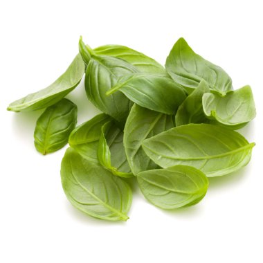 Beyaz arka plan clo üzerinde izole avuç fesleğen bitki yaprakları