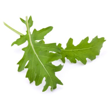Stüdyo çekim taze rucola yaprakları yeşil wh izole kapatmak