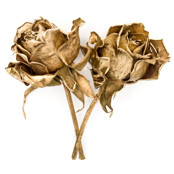 Dwa złote róże izolowane na białym tle wycinka. Złoty suszony — Zdjęcie stockowe