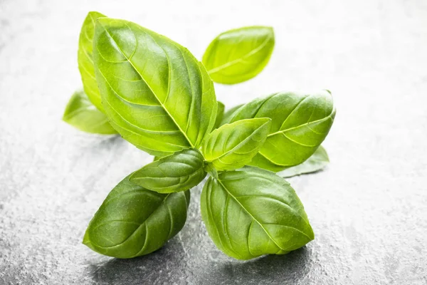 Sweet basil leaves over black stone background. Top view. — Stock Photo, Image