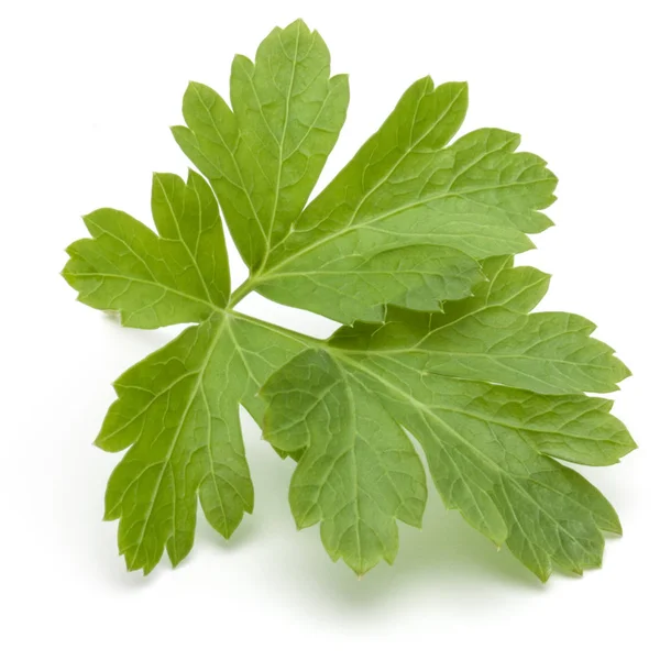 Fresh parsley herb leaves  isolated on white background — Stock Photo, Image