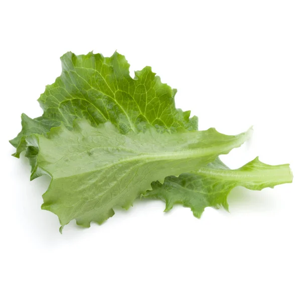 Крупним планом студійний знімок свіжого зеленого кінцевого салату листя ізольовані о — стокове фото