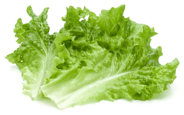Зеленый салат листья салата изолированы на белом фоне — стоковое фото