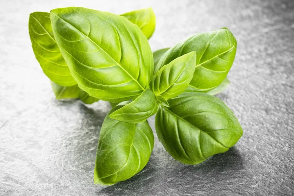 Sweet basil leaves over black stone background. Top view. — Stock Photo, Image