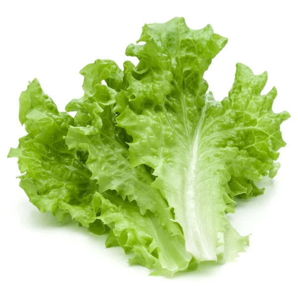흰 배경에 분리되어 있는 신선 한 녹색 양상추 샐러드 — 스톡 사진