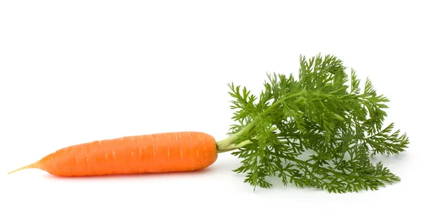 Carrot vegetable with leaves isolated on white background cutout — Stock Photo, Image