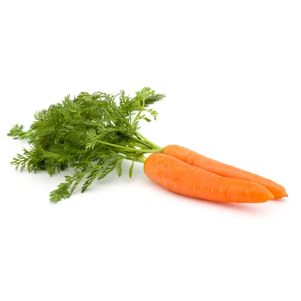 Морковный овощ с листьями, выделенными на белом фоне — стоковое фото