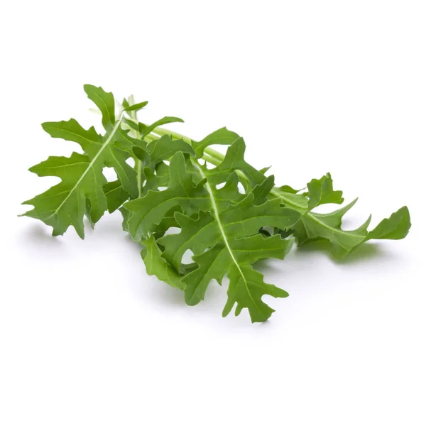 Close up studio shot of green fresh rucola leaves isolated on wh — Stock Photo, Image