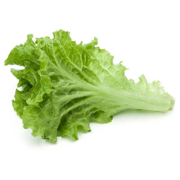 흰 배경에 분리되어 있는 신선 한 녹색 양상추 샐러드 — 스톡 사진