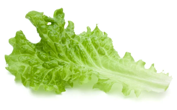 Свіжі зелені листя салату ізольовані на білому фоні — стокове фото