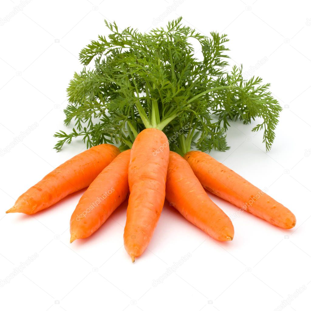 Carrot vegetable with leaves isolated on white background cutout