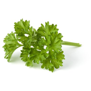 Beyaz arka plan kesme izole demet maydanoz yaprakları 