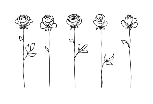 Σύνολο λουλουδιών τριαντάφυλλο. Συνεχές σχέδιο. Σχεδιασμός έννοιας της γραμμικής τέχνης. Κομψό μοντέρνο σχέδιο τάση για διακόσμηση της κάρτας πρόσκληση, πανό — Διανυσματικό Αρχείο