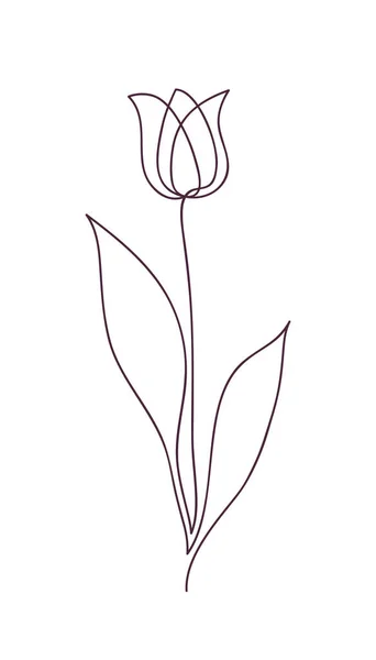 Linda flor de tulipa. Design de conceito de arte de linha. Desenho de linha contínua. Símbolo de flor estilizado. Ilustração vetorial —  Vetores de Stock