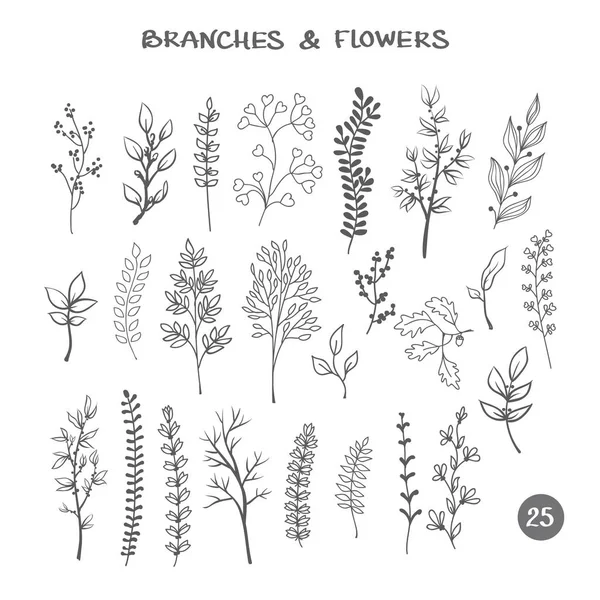 Zweige. handgezeichnete schwarze Tinte isolierte florale Zierelemente. Kräutersilhouetten-Kollektion — Stockvektor