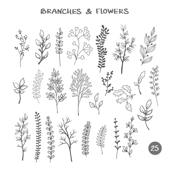 Ensemble de branches. Encre noire dessinée à la main éléments décoratifs floraux isolés. Collection silhouette d'herbes — Image vectorielle