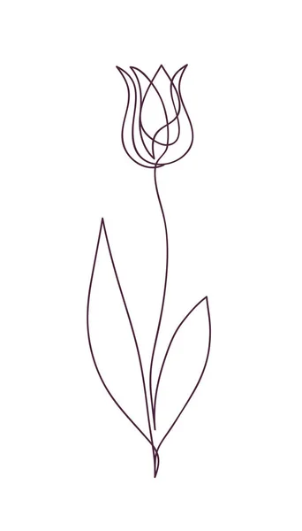 Vacker tulpanblomma. Design av linjekoncept. Kontinuerlig ritning. Stiliserad blomma symbol. Vektorillustration — Stock vektor