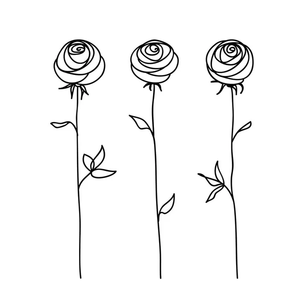 玫瑰。风格化的花符号集。大纲手绘图标 — 图库矢量图片