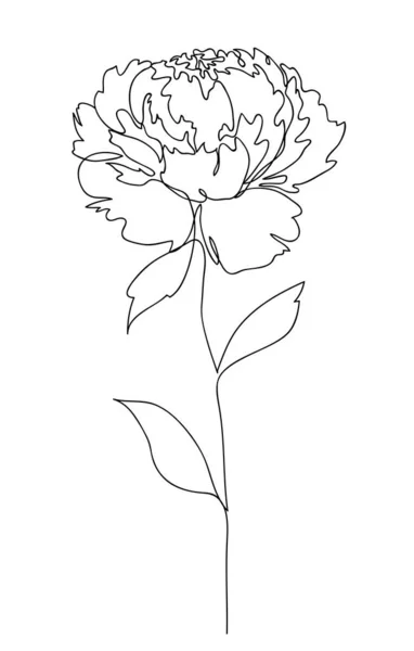 Vacker pion blomma. Design av linjekoncept. Kontinuerlig ritning. Stiliserad blomma symbol. Vektorillustration — Stock vektor