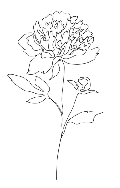 Beautiful Peony Flower Line Art Concept Design Continuous Line Drawing — Stock Vector