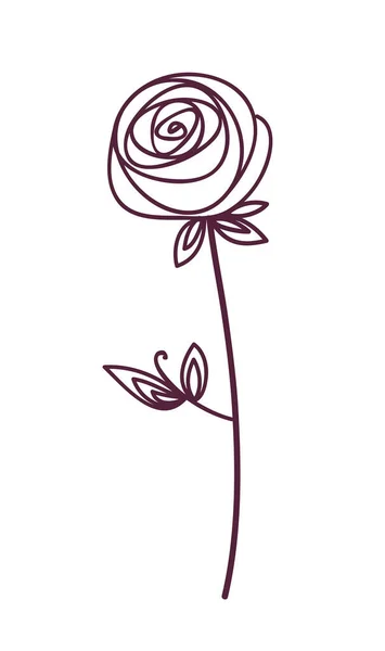 로즈. 모양이 화려 한 꽃의 상징. 선그리기 — 스톡 벡터