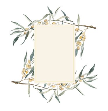 Kenar çevresinde suluboya botanik çerçeve. Zeytinli bir dal. Vintage düğün davetiyesi, düğün tasarımı, kişiselleştirilmiş kart. Kartpostal. Düğün davetiyesi tasarımları seti.