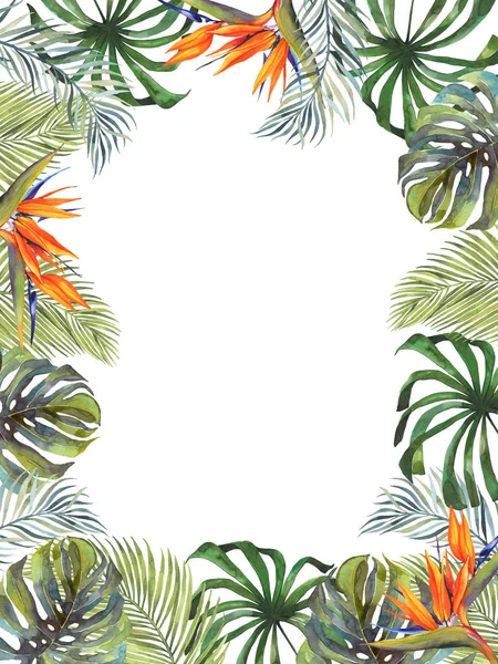 Watercolor tropical botanical illustration. Gold frame, tropical plants, monstera, exotic flower Strelitzia. Wedding invitation. Greeting card. Palm leaves. Set of wedding invitation designs.