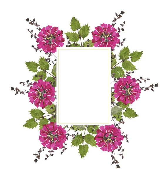 Akvarell Botanisk Rund Ram Vilda Vårblommor Mångfärgade Ljusa Bukett Rosa — Stockfoto