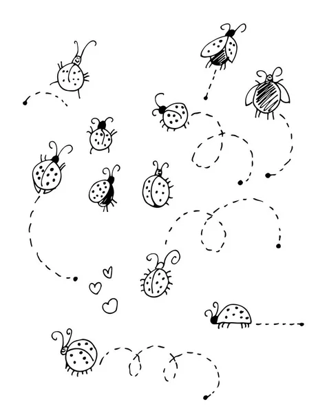 Ensemble Vecteur Coccinelles Isolé Sur Fond Blanc — Image vectorielle