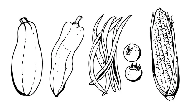 Verdure Set Vettoriale Illustrazione Zucchine Pepe Pomodoro Fagiolini Mais Dolce — Vettoriale Stock