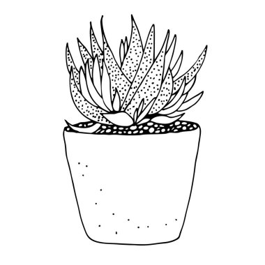 Kaktüs doodle, elle çizilmiş vektör çizim