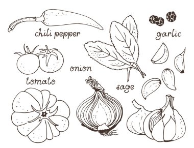 Sebze, ot vektör set, el çekilmiş koleksiyonu: chili biber, domates, soğan, sarımsak, adaçayı, beyaz arka plan üzerinde izole metin ile karabiber