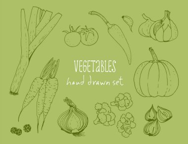 Sebze vektör ayarla, elle çizilmiş gıda arka plan ile: domates, havuç, kabak, soğan, brokoli, pırasa, sarımsak, biber biber, yeşil otlar