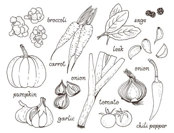 Овощной Векторный Набор Ручной Рисунок Пищевого Фона Помидор Морковь Тыква — стоковый вектор