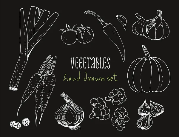 Zeleninové Vektorové Sada Ručně Kreslenou Pozadí Potravin Rajče Mrkev Dýně — Stockový vektor