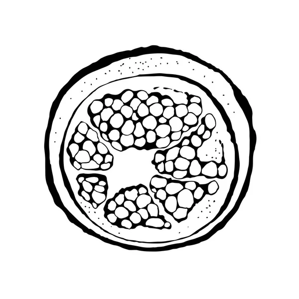 Granatapfel Vektor Illustration Isoliert Auf Weißem Hintergrund — Stockvektor