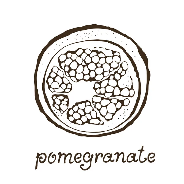 Pomegranate Vector Illustration Isolated White Background — Stock Vector
