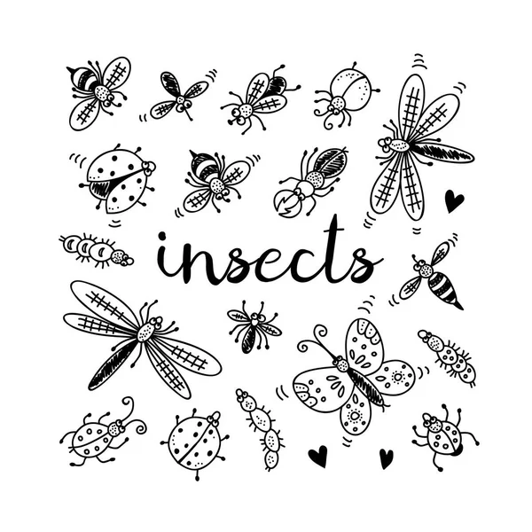 Insekter Doodle Set Vektorgrafik Samling Isolerade Vit Bakgrund — Stock vektor