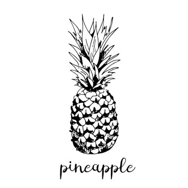 Beyaz arkaplanda izole edilmiş ananas vektör illüstrasyonu