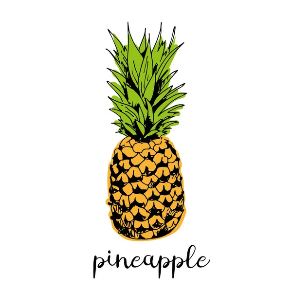 Ananas Vector Illustratie Geïsoleerd Witte Achtergrond — Stockvector