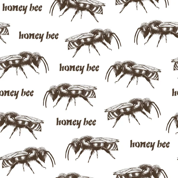 Honey Bee Och Honungskakor Färg Vektor Sömlösa Mönster Gravyr Stil — Stock vektor