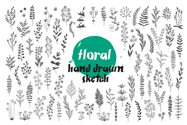 Flowers Leaves Vector Set Hand Drawn Doodle Collection Decorative Design — Stock Vector