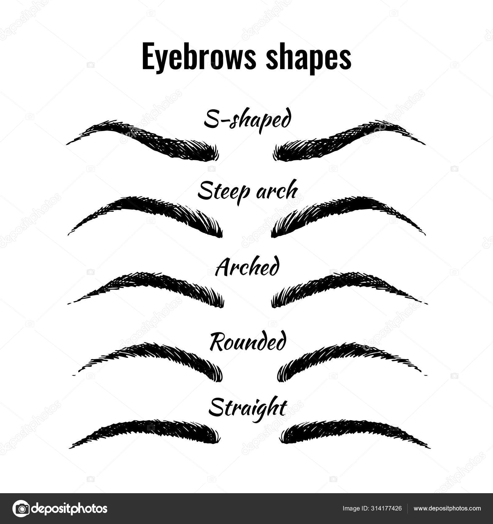Different Eyebrow Shapes And Names
