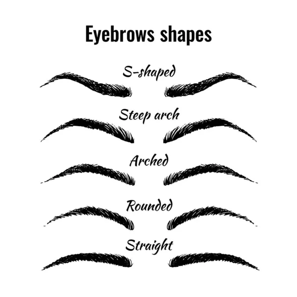 Ensemble Vectoriel Formes Sourcils Cinq Formes Principales Sourcils Femme Isolés — Image vectorielle